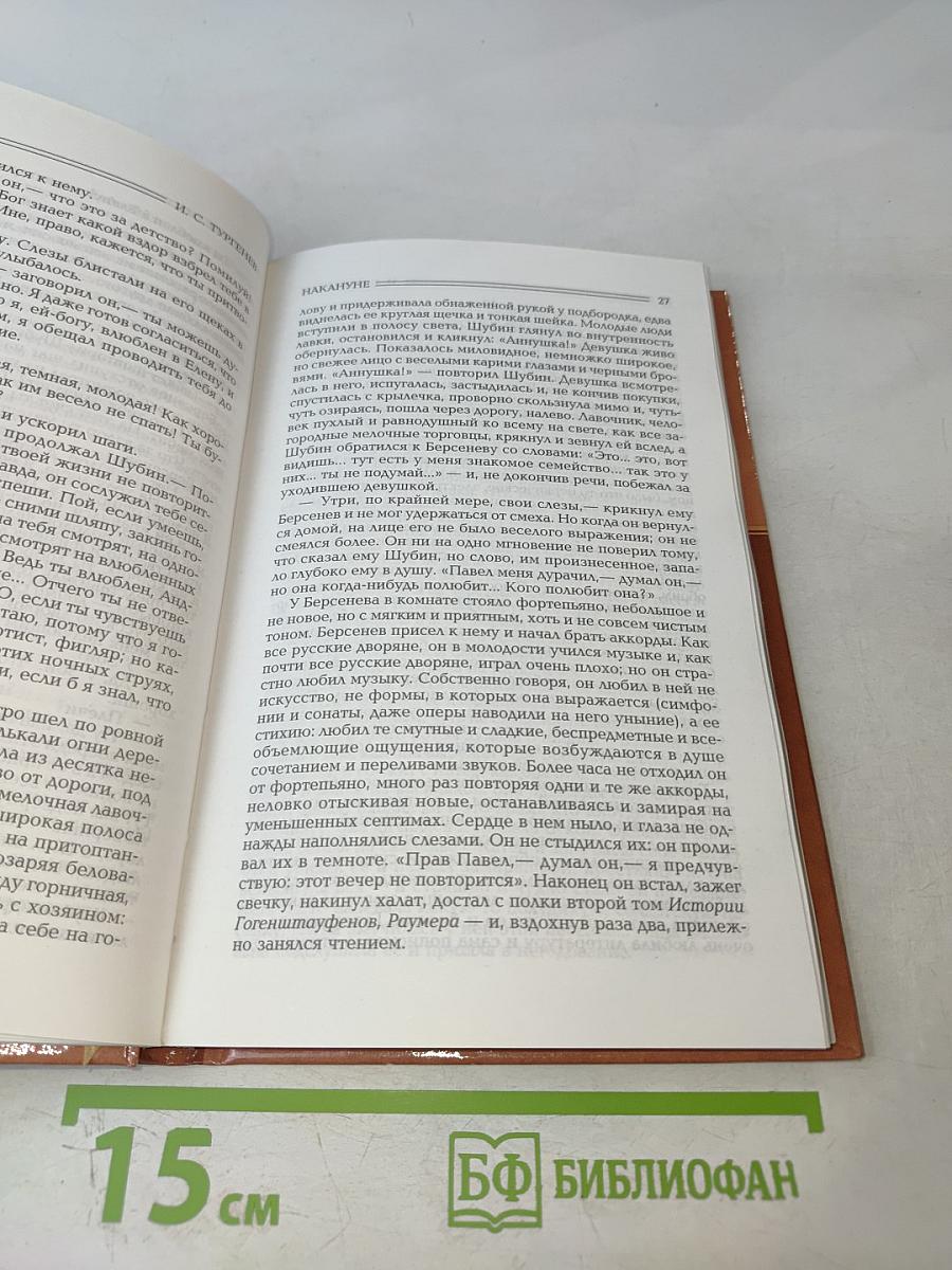 Первая любовь