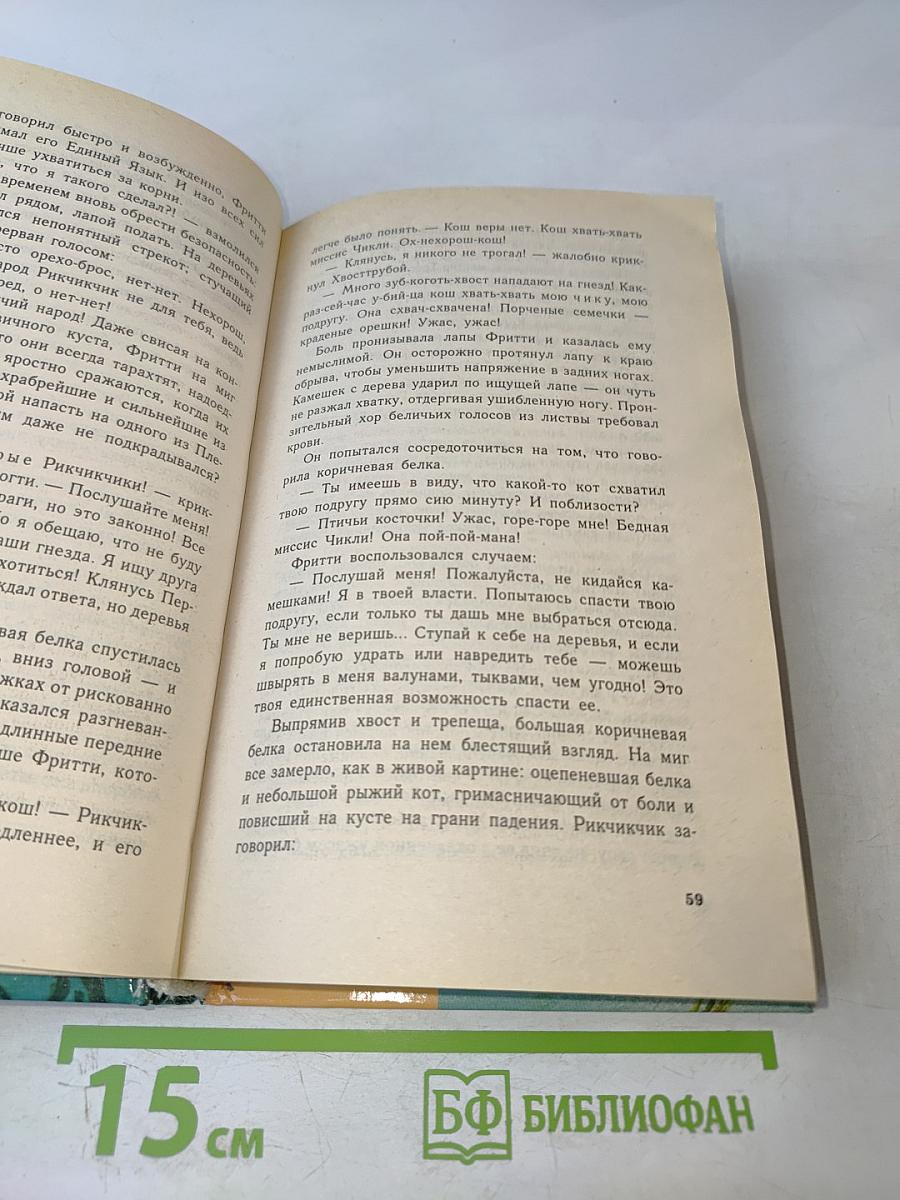 Хвострубой или Приключения молодого кота