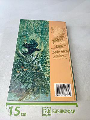 Хвострубой или Приключения молодого кота