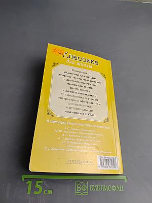 Поэмы. Классика для школы