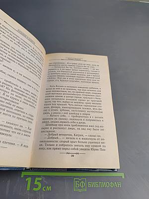 Барышня и хулиган