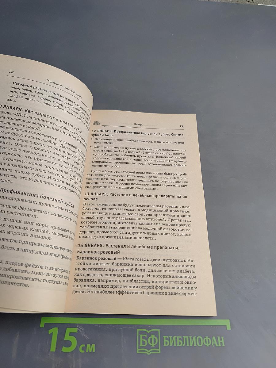 Рецепты Болотова на каждый день