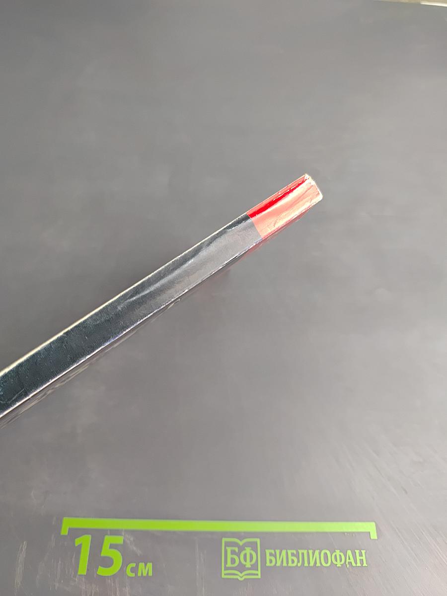 Мишель Нострадамус