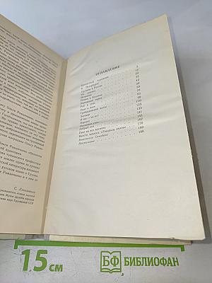Властитель Синодала. Страницы биографии Александра Чавчавадзе