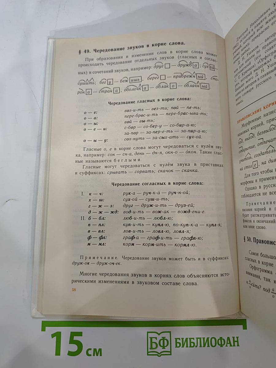 Русский язык. Теория. Для 5-9 классов