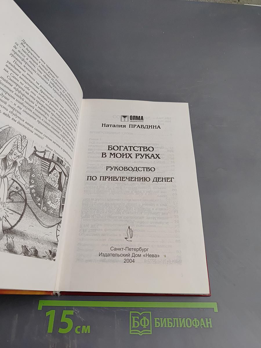 Богатство в моих руках! Руководство по привлечению денег