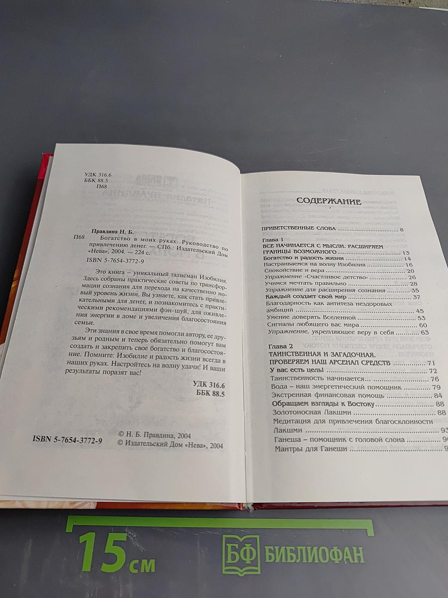 Богатство в моих руках! Руководство по привлечению денег