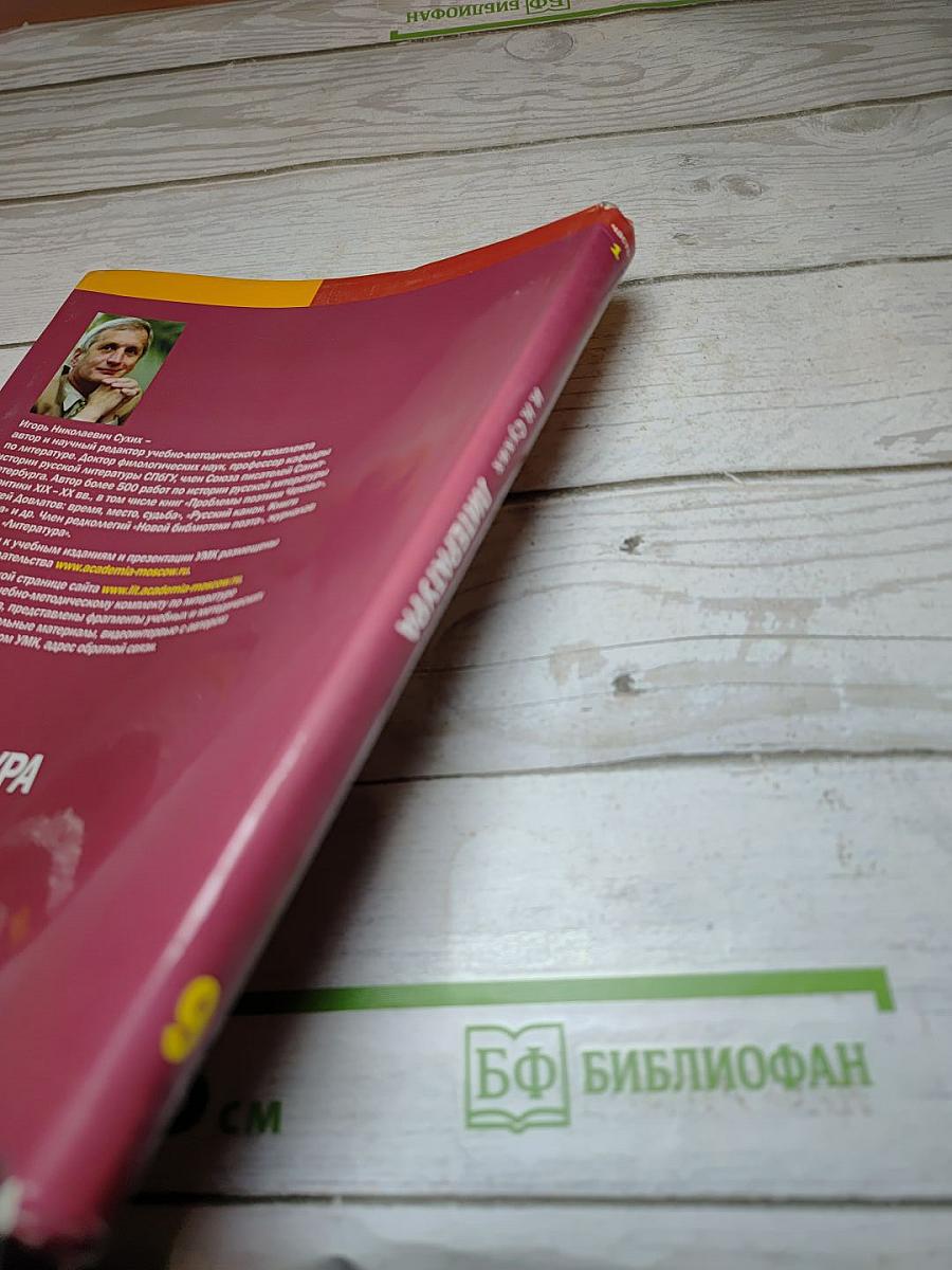 Литература. Учебник для 9 класса. Часть 1