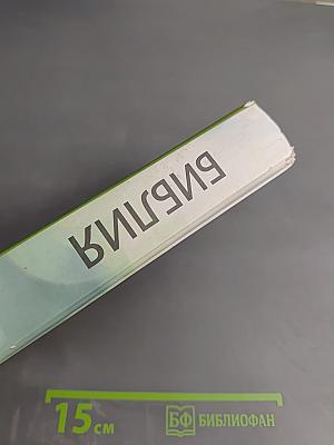 Библия. Книги Священного Писания Ветхого и Нового Заветов