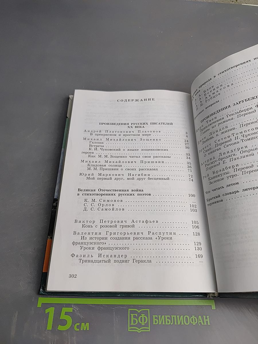 Литература. 6 класс. Учебник-хрестоматия. Часть вторая