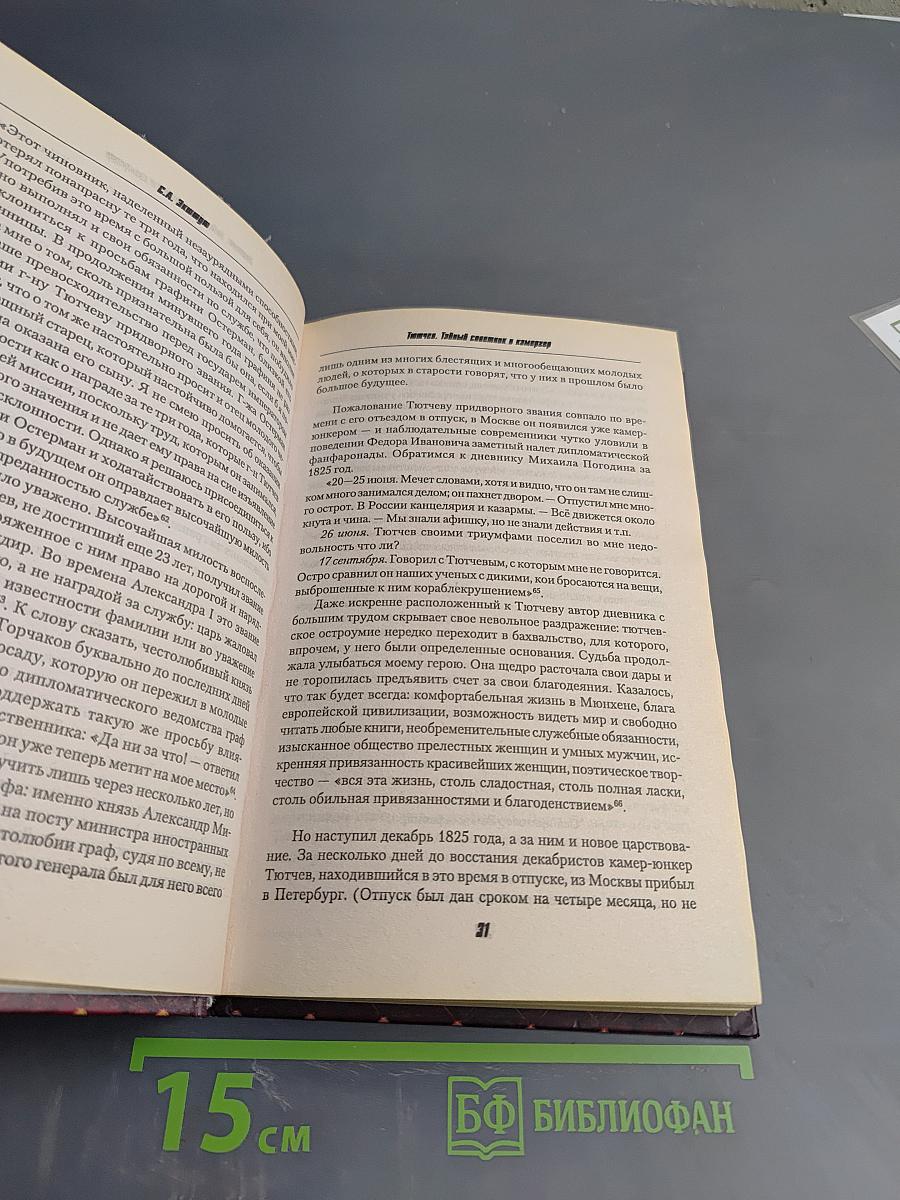 Тютчев Тайный советник и камергер