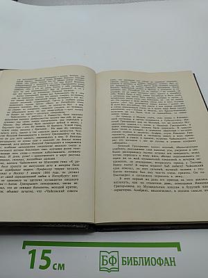 Чайковский. История одинокой жизни