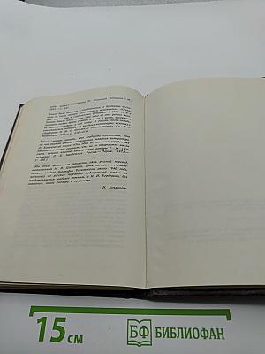 Чайковский. История одинокой жизни