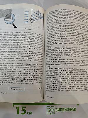 Физика 11 класс. Базовый и профильный уровни