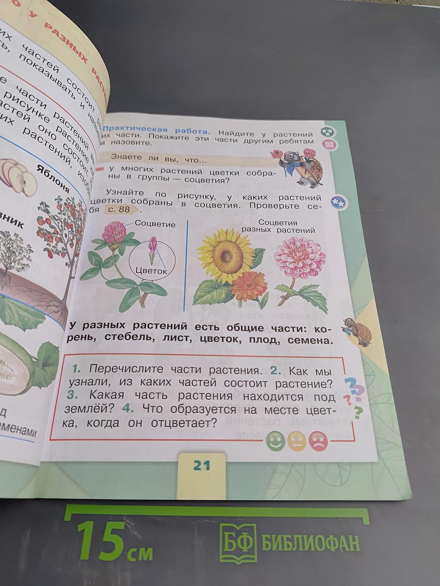 Окружающий мир. 1 класс. Часть 1