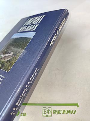 Гигант в Хибинах