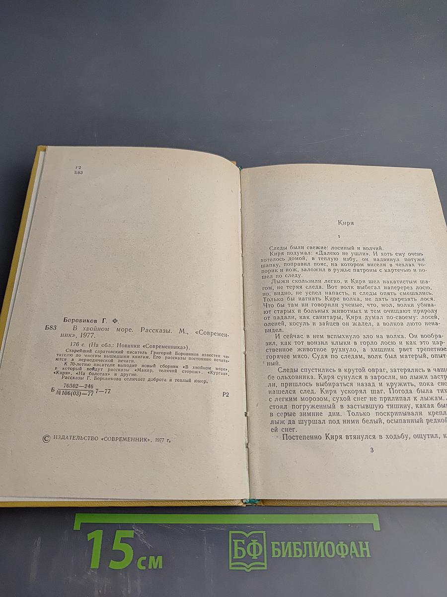 В хвойном море