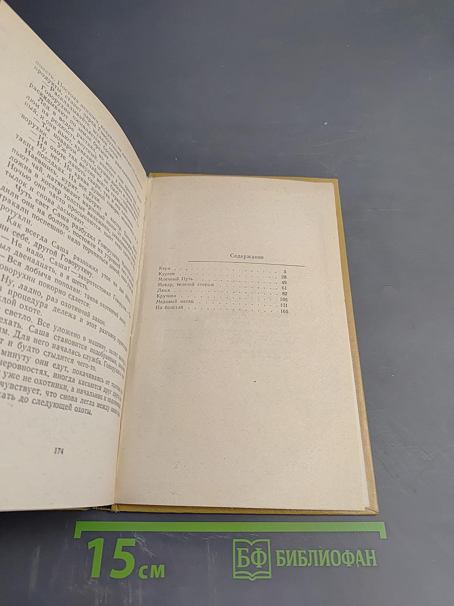 В хвойном море