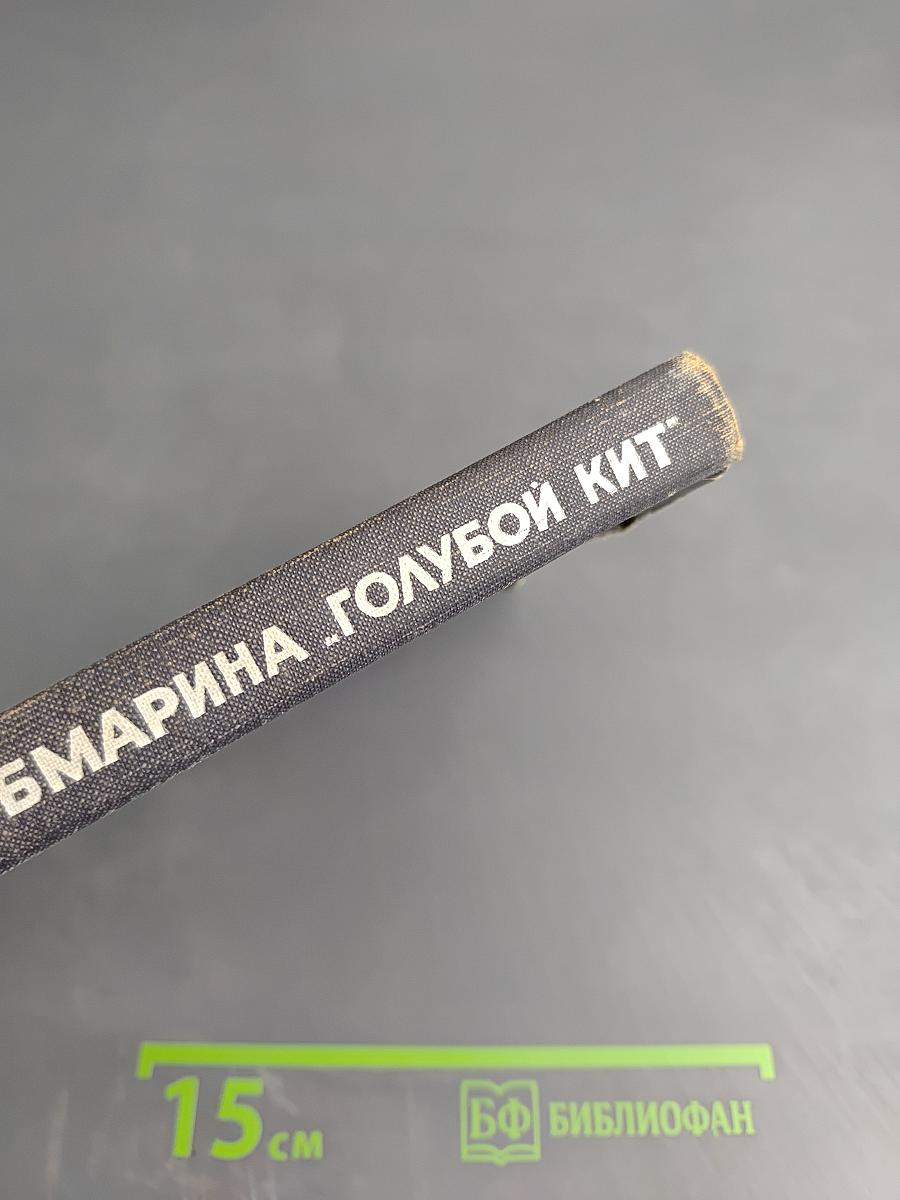 Субмарина «Голубой кит»