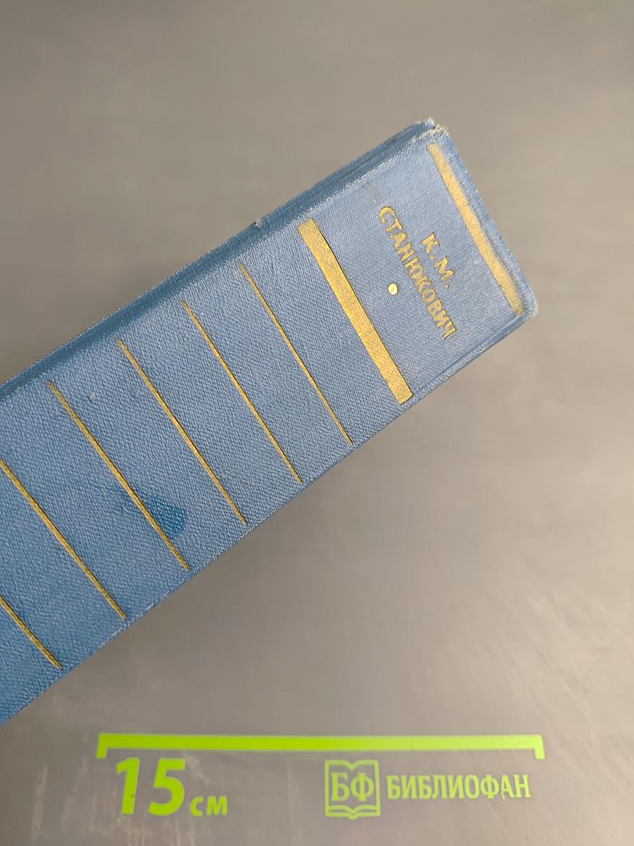 Собрание сочинений. Том 4. Произведения 1873-1880