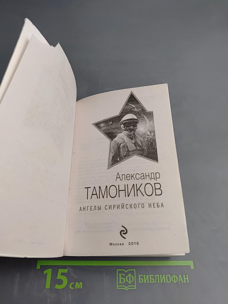 Президентский спецназ. Ангелы сирийского неба