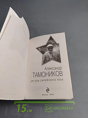 Президентский спецназ. Ангелы сирийского неба