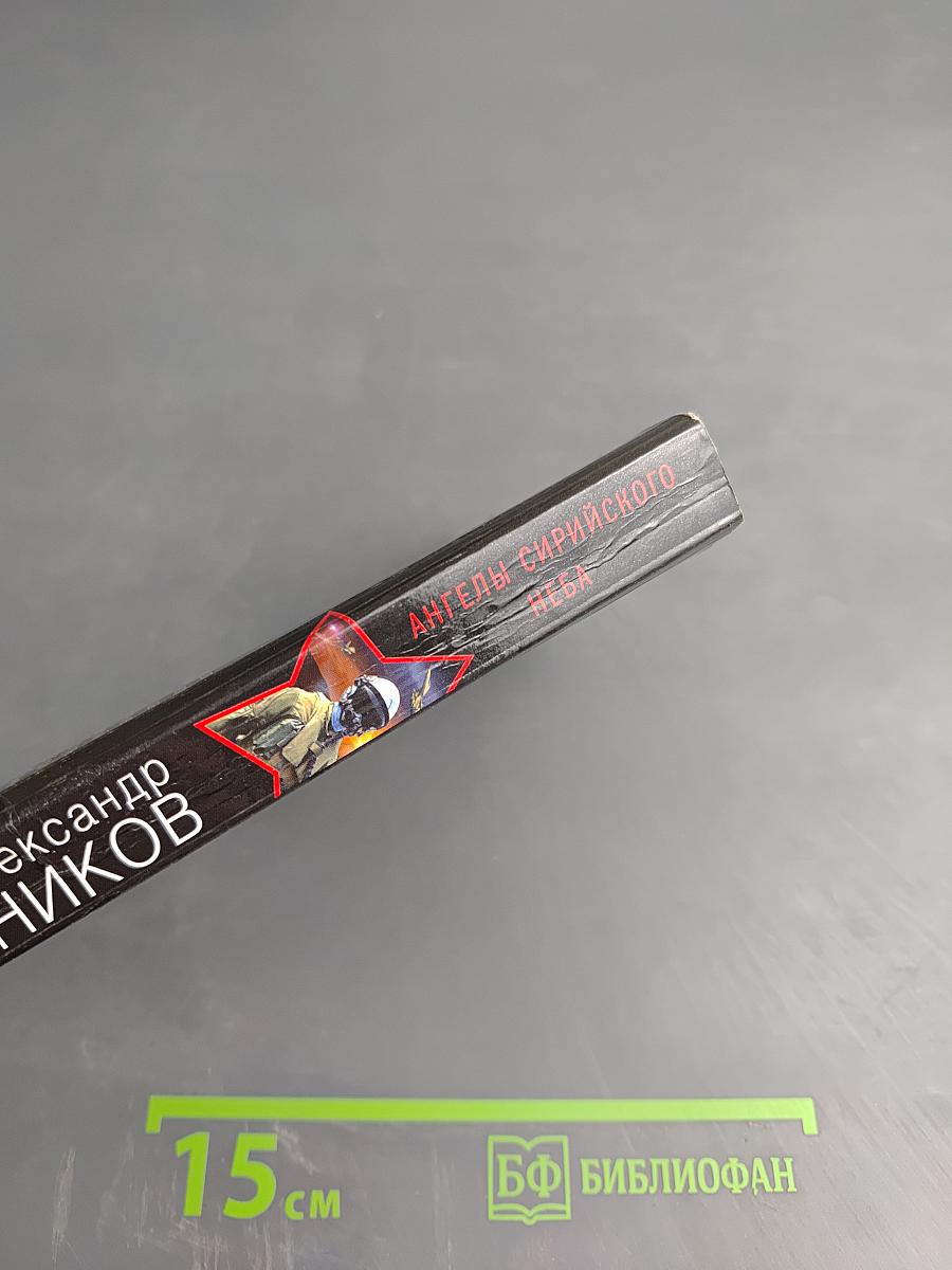 Президентский спецназ. Ангелы сирийского неба