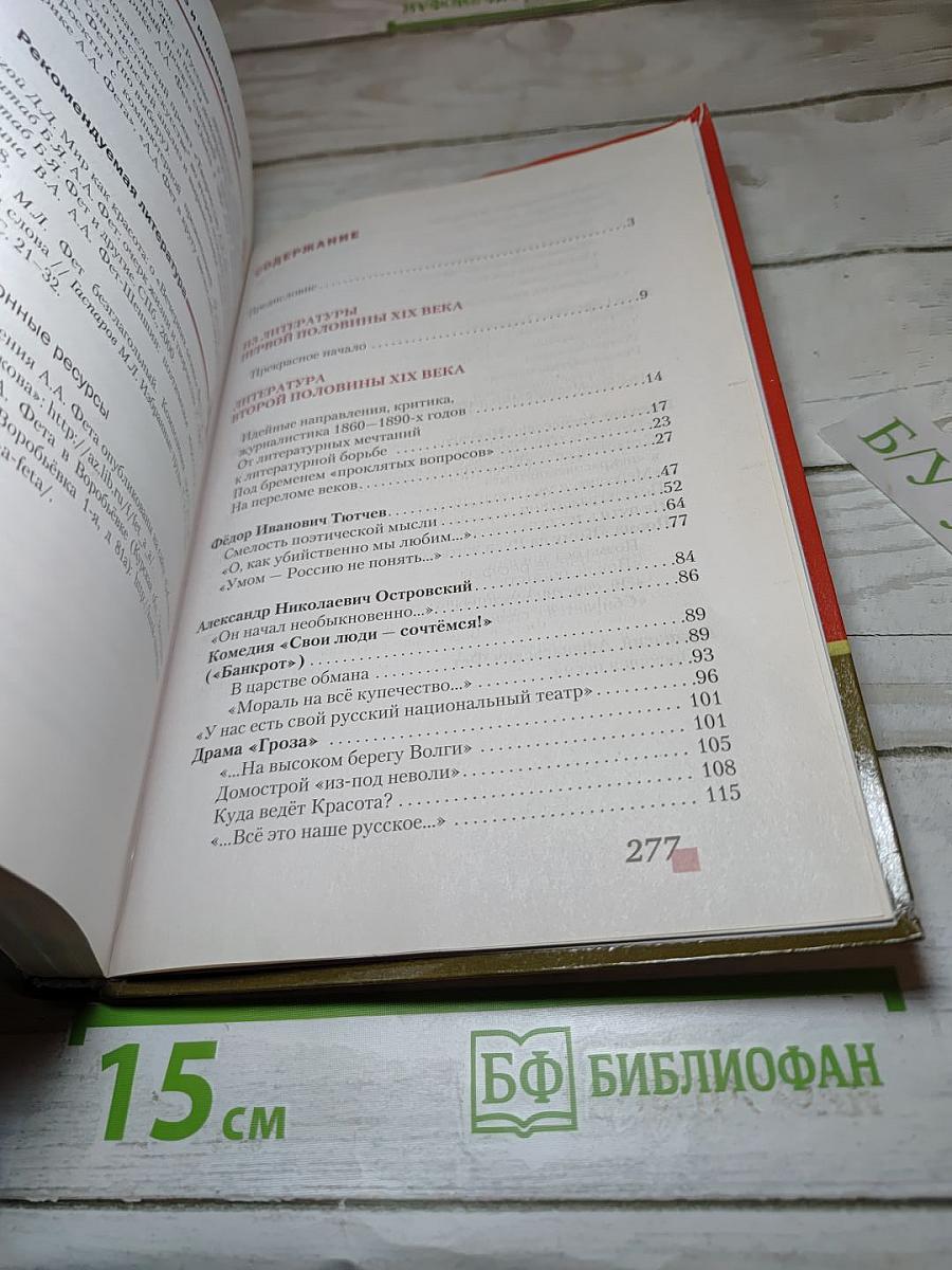 Литература. 10 класс. Часть I