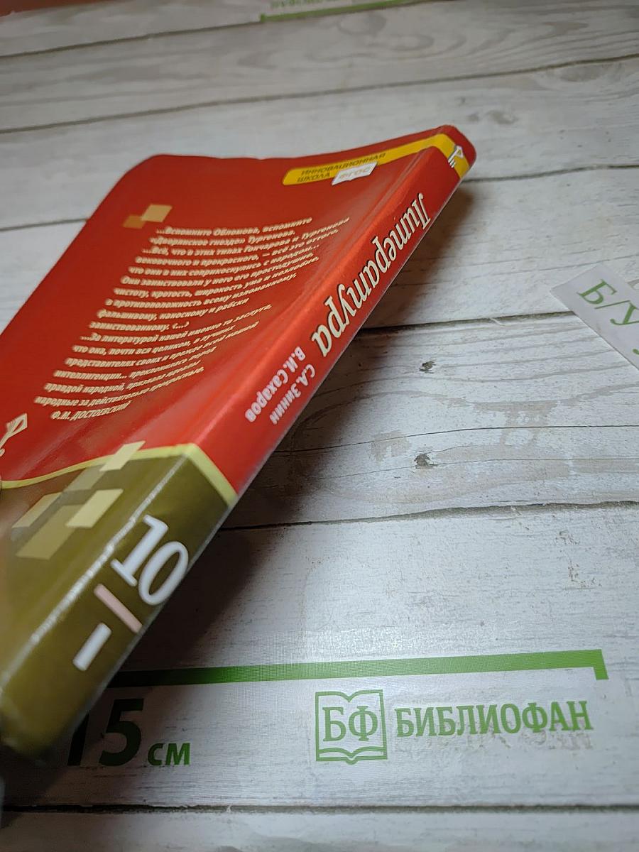 Литература. 10 класс. Часть I