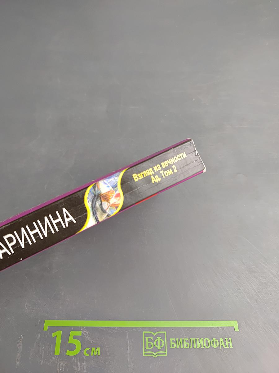 Взгляд из вечности. Ад. Том 2