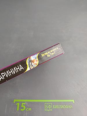 Взгляд из вечности. Ад. Том 2