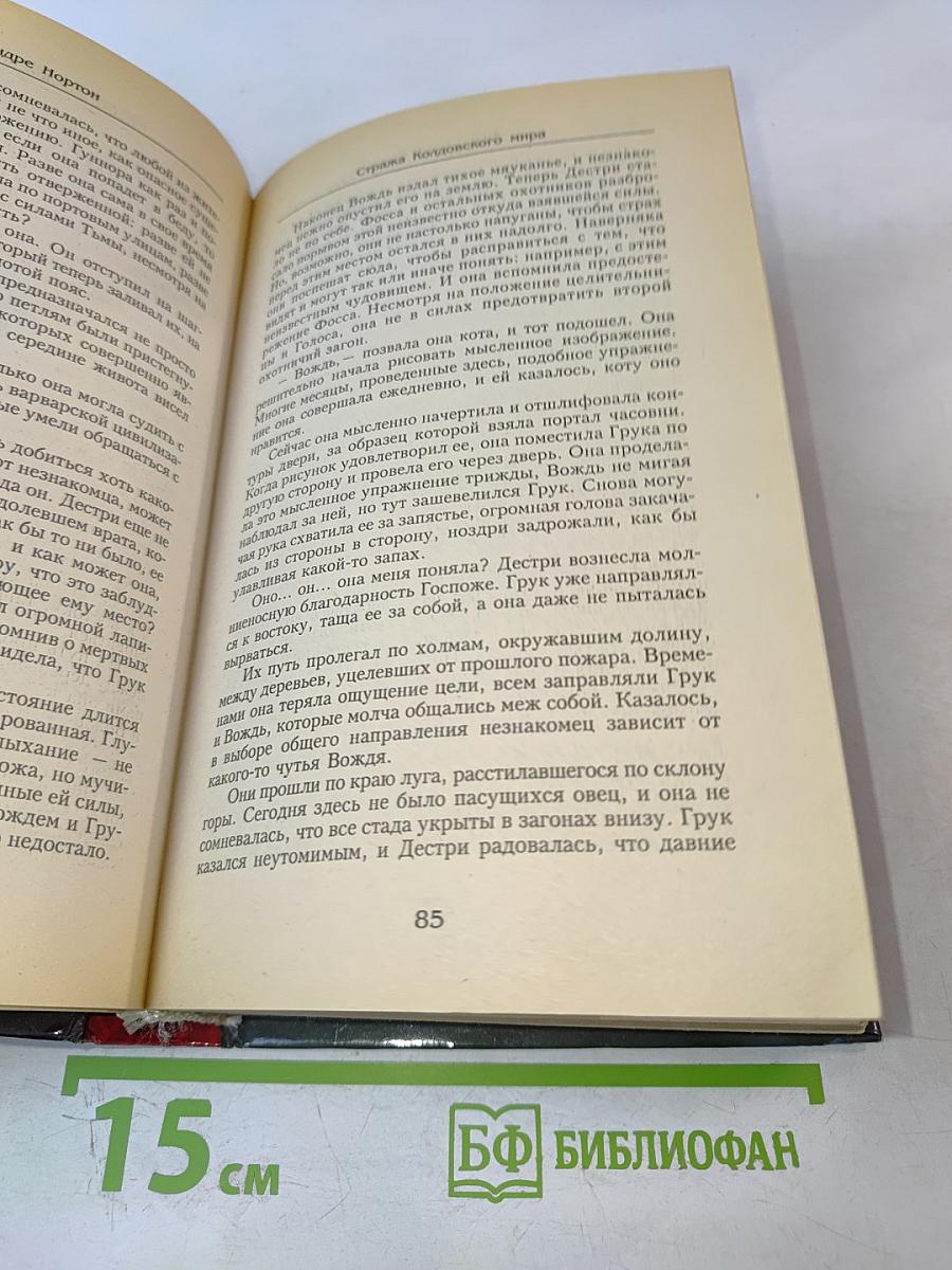 Стража Колдовского мира