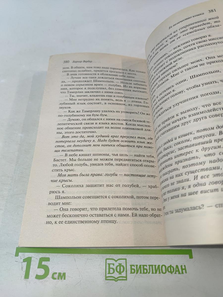 Ее величество кошка