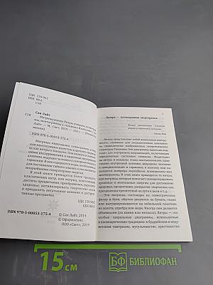Матрицы Успеха. Янтры, мандалы, психограммы, ментограммы в «Алхимии Изобилия»