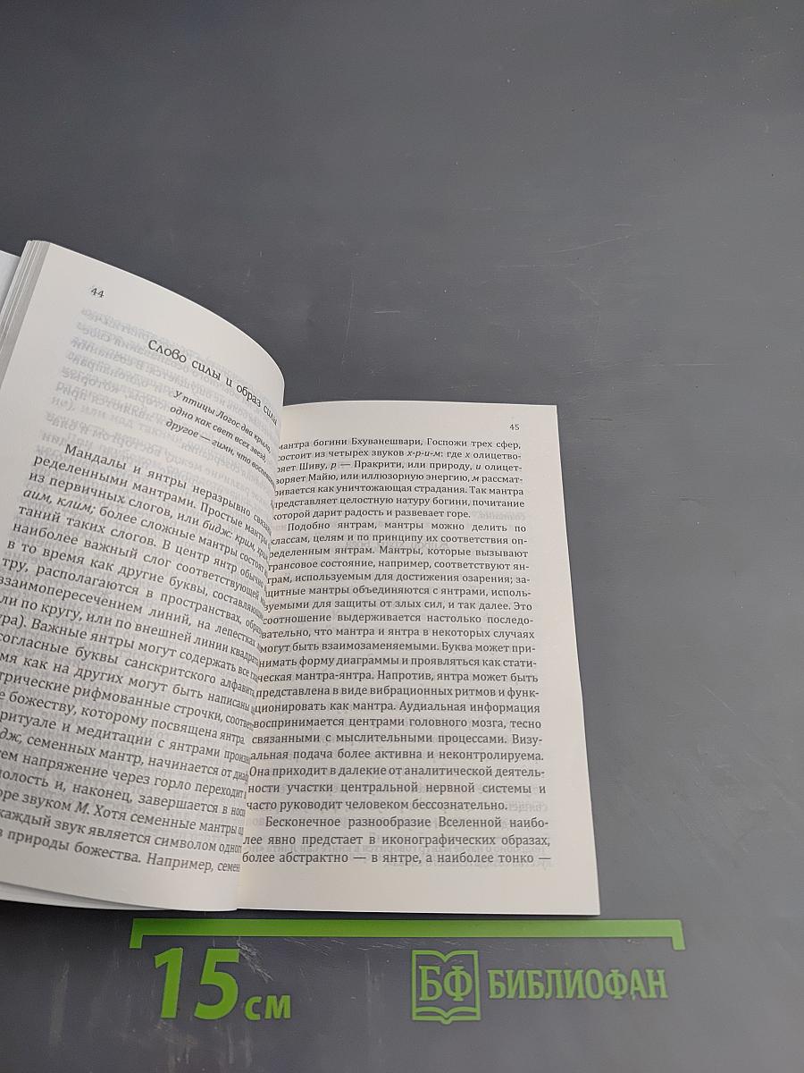 Матрицы Успеха. Янтры, мандалы, психограммы, ментограммы в «Алхимии Изобилия»