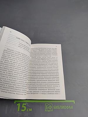 Матрицы Успеха. Янтры, мандалы, психограммы, ментограммы в «Алхимии Изобилия»