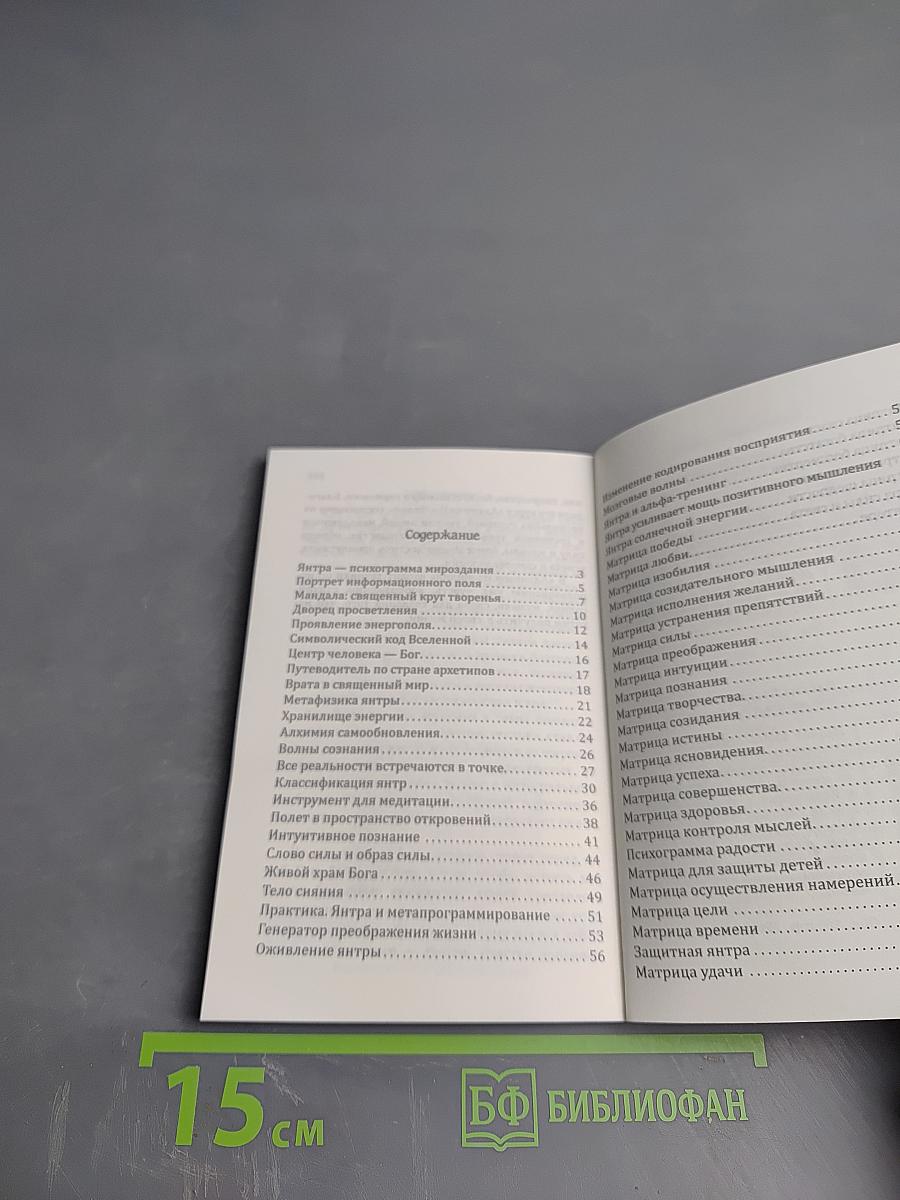 Матрицы Успеха. Янтры, мандалы, психограммы, ментограммы в «Алхимии Изобилия»