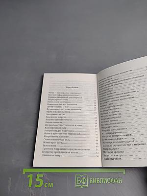 Матрицы Успеха. Янтры, мандалы, психограммы, ментограммы в «Алхимии Изобилия»