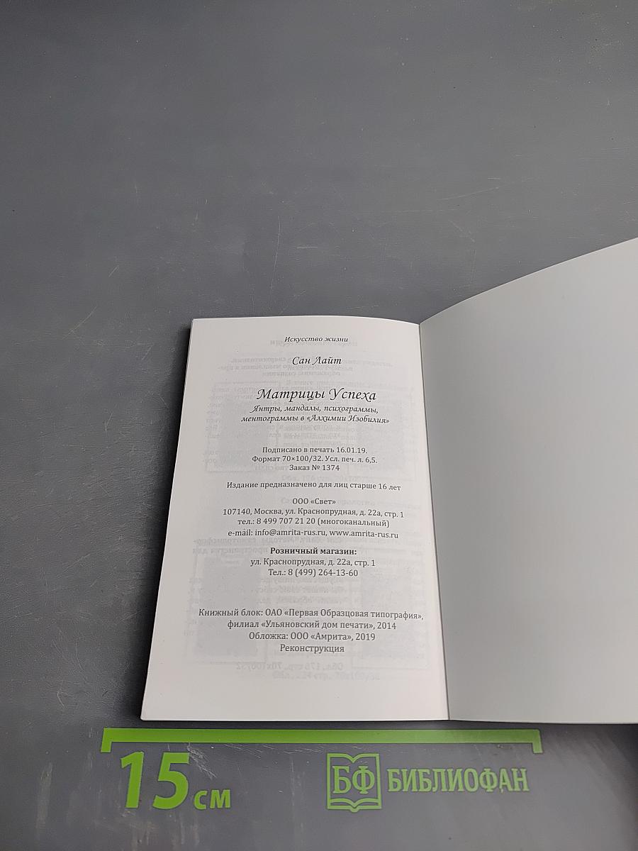 Матрицы Успеха. Янтры, мандалы, психограммы, ментограммы в «Алхимии Изобилия»