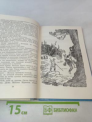 Хмурый Вангур