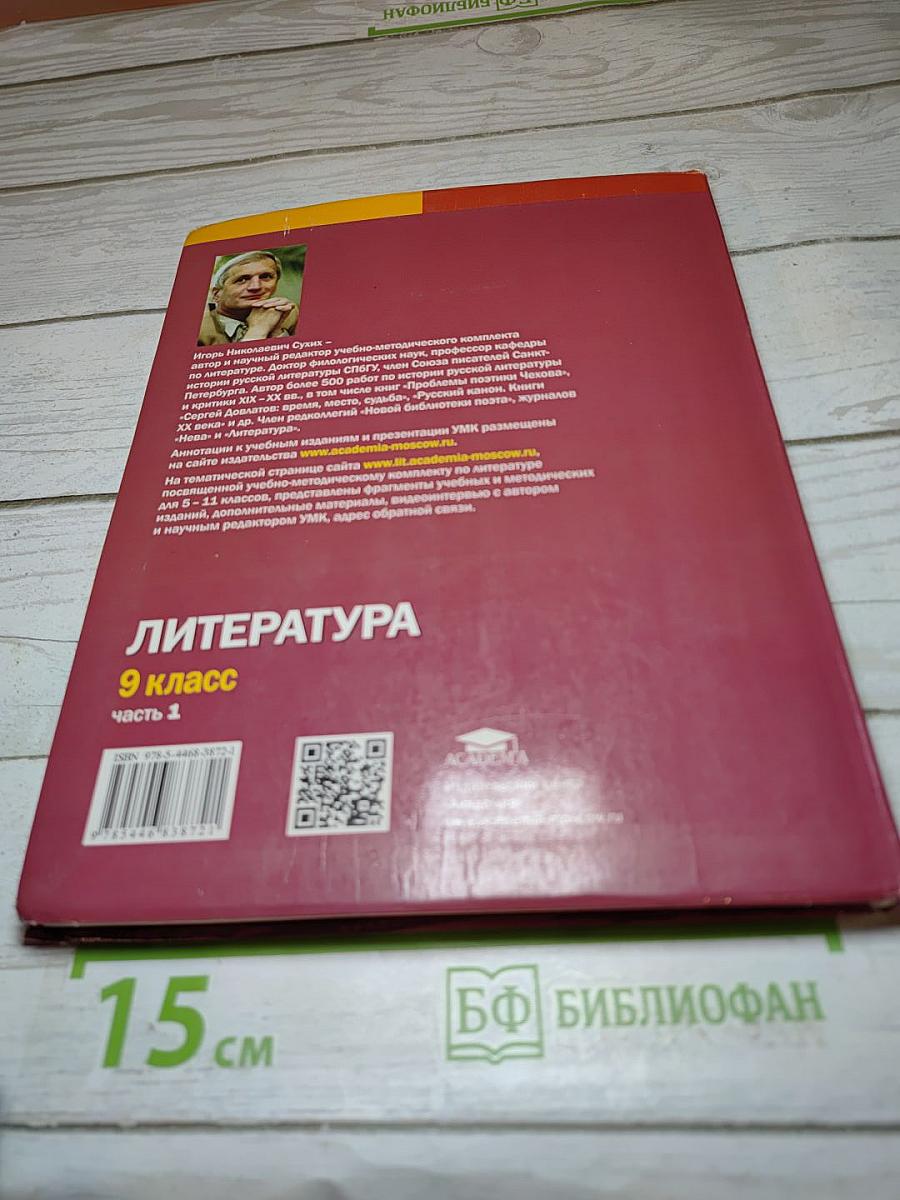 Литература: учебник для 9 класса, часть 1
