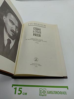 Судьба и грехи России. Избранные статьи по философии русской истории и культуры. 2 том