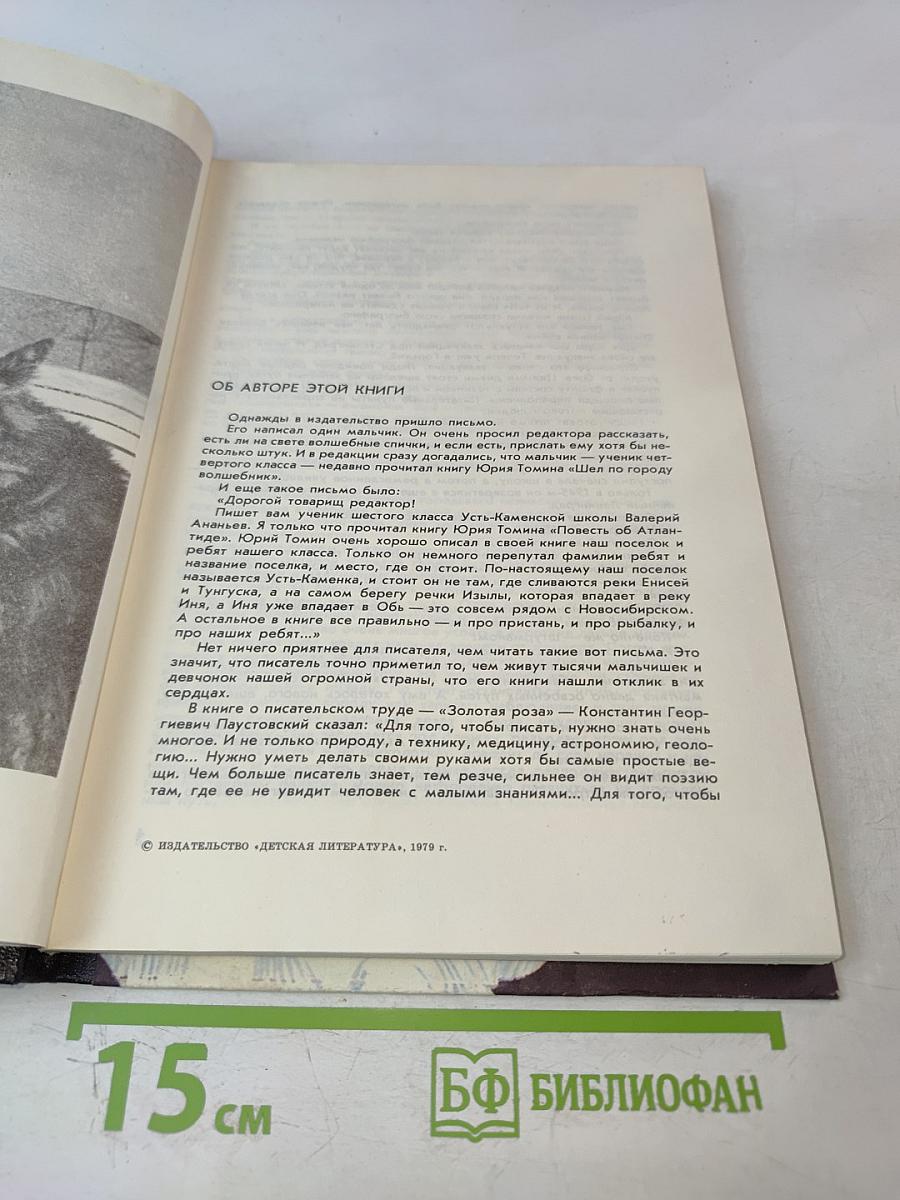 Карусели над городом