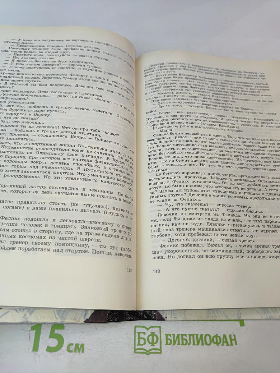 Карусели над городом