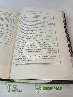 Карусели над городом