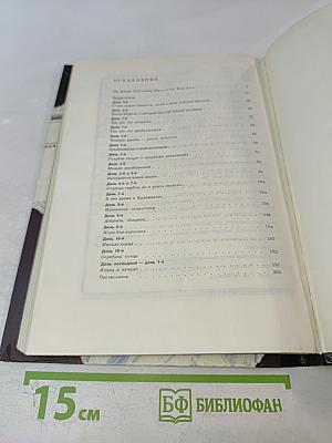 Карусели над городом