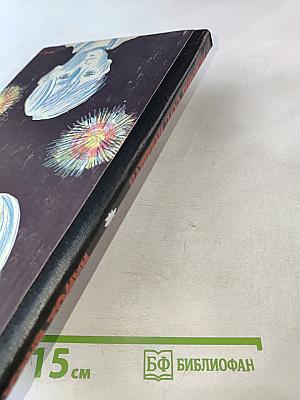 Карусели над городом