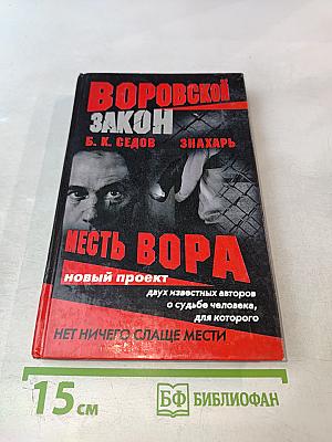 Знахарь. Месть вора