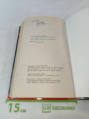 Знахарь. Месть вора