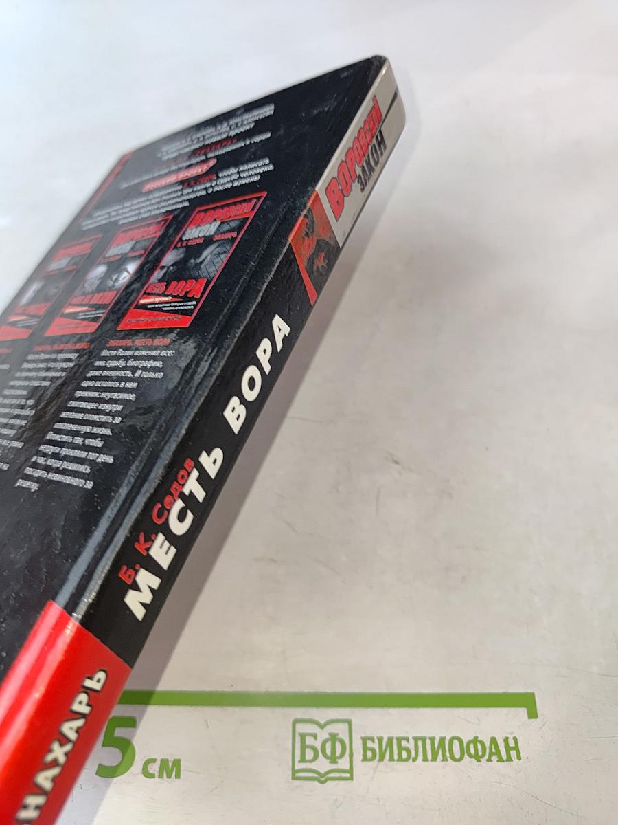 Знахарь. Месть вора